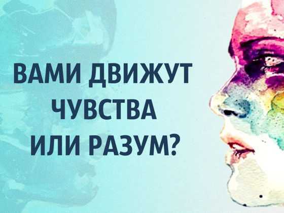 Размышлизм о том когда разум работает а когда животное желание страну убивает