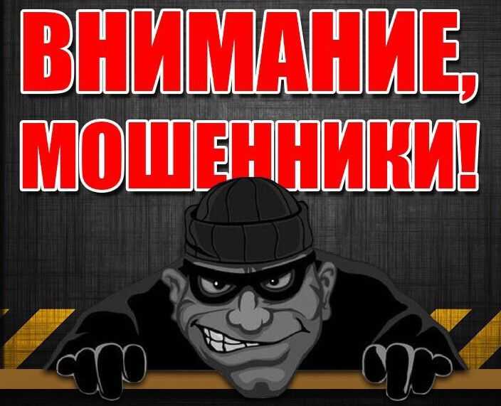 Осторожно Мошенники или хитрая парочка Осадчук&Лучко