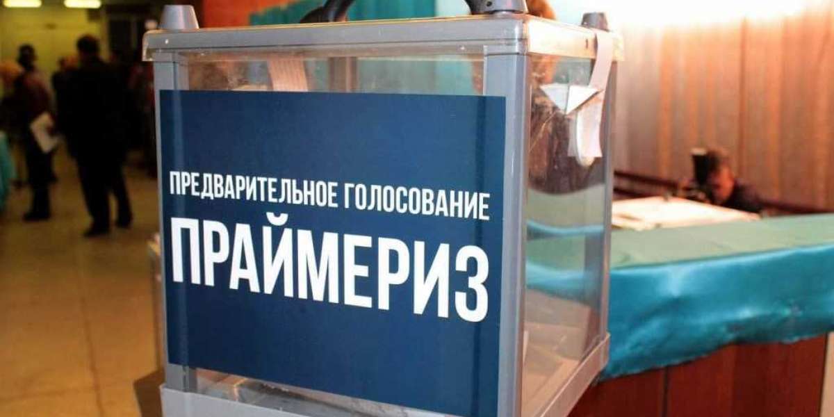 Волонтеры и работники социальных сфер готовятся к участию в выборы Госдумы