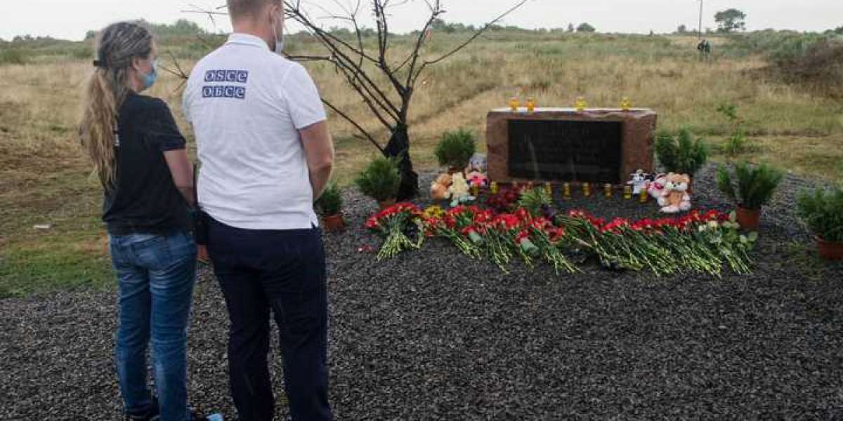 Мародеры растащили - останки жертв крушения боинга МН17 так и не нашли