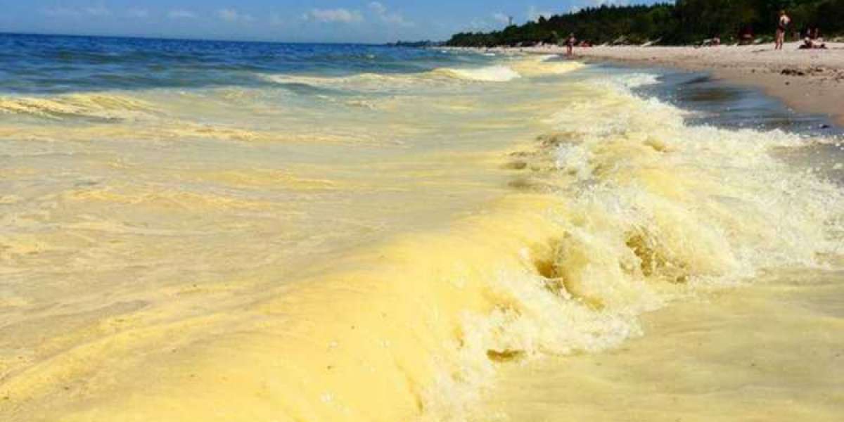 Балтийское море пожелтело
