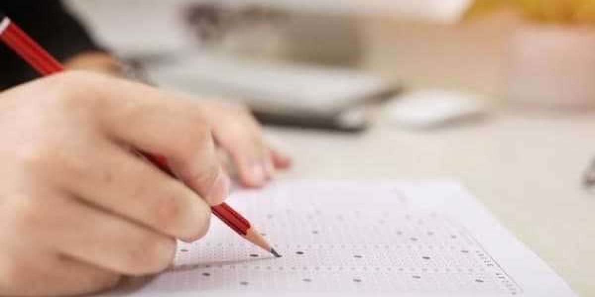 В этом году петербургские выпускники более 500 раз сдали ЕГЭ на 100 баллов