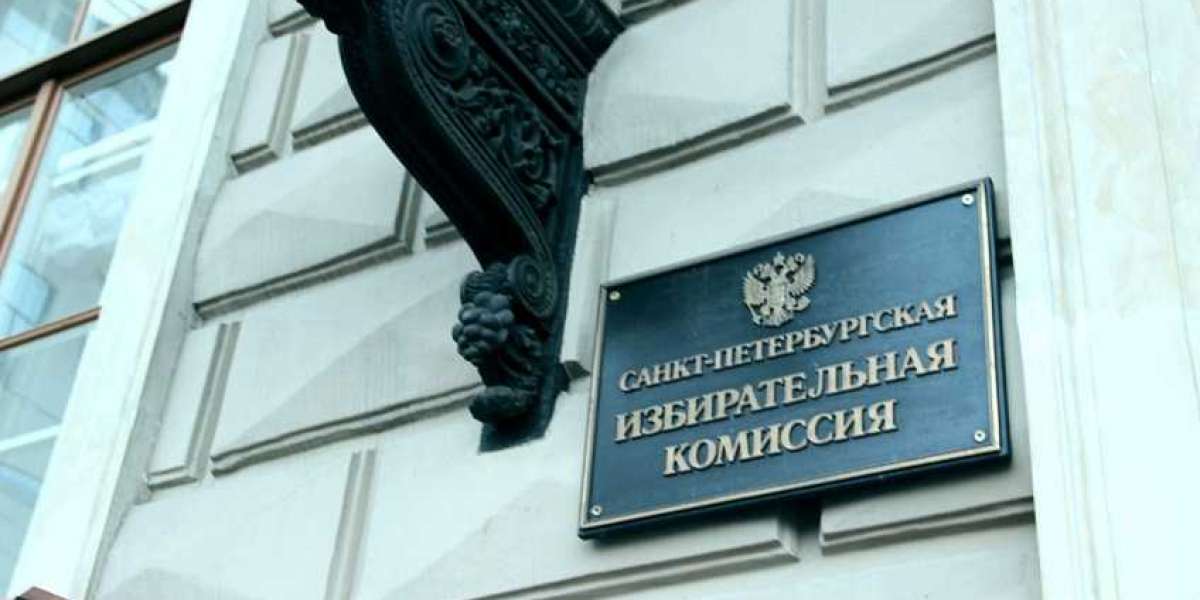 Эксперт Ирина Петренко поделилась своим мнением о скандале в петербургском горизбиркоме