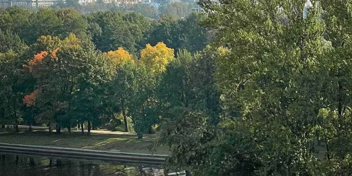 Резкое похолодание ждет Петербург и Ленобласть на следующей неделе