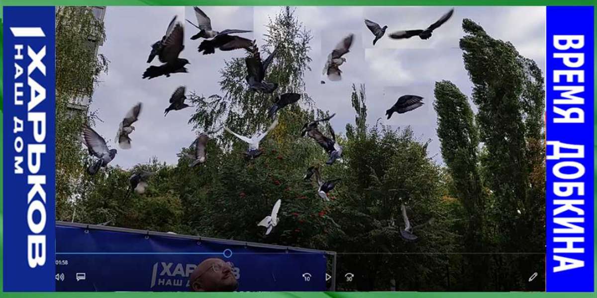 Эту программу мы вместе создавали. Михаил Добкин возвращает городу правильные приоритеты: Любить Харьков - работать для людей!