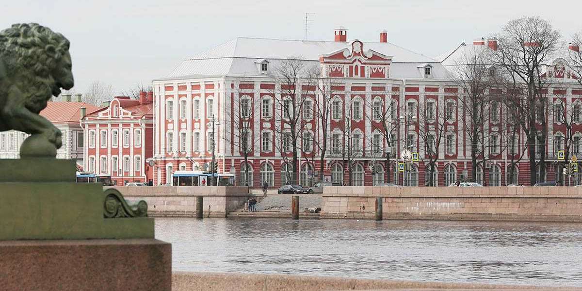 СПБГУ обучит иностранцев русскому языку
