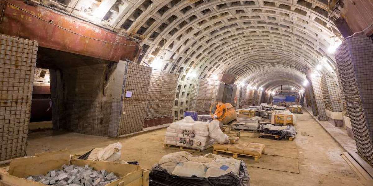 Те же яйца, только в профиль: петербургское метро вновь подконтрольно монополисту