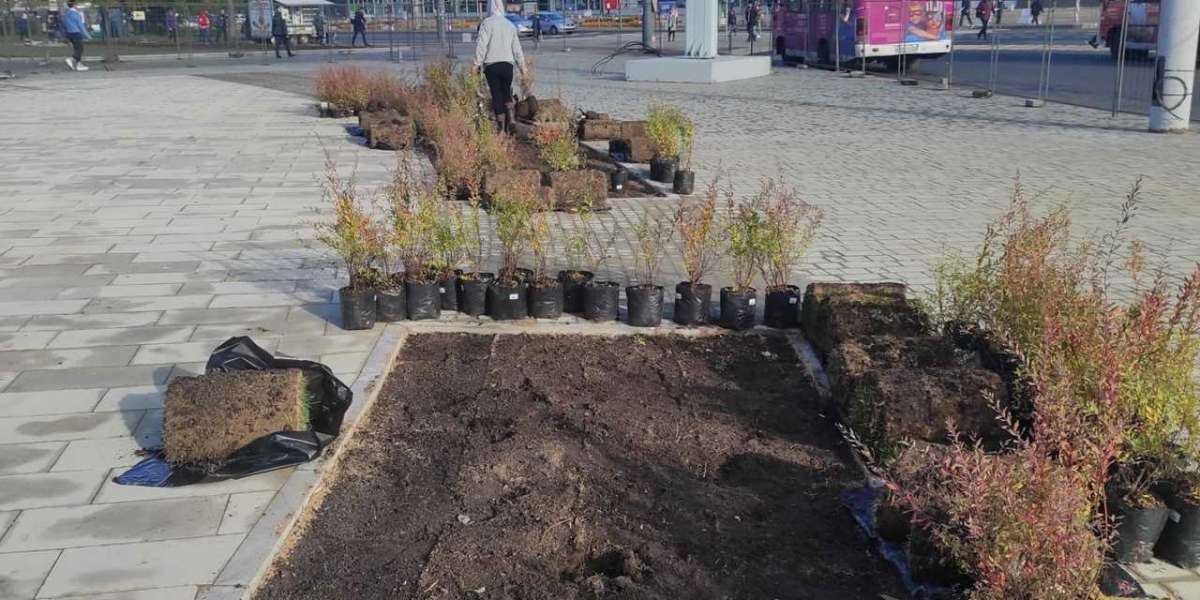 Город превратили в базар: почему глава Невского района не борется с уличными торговцами?