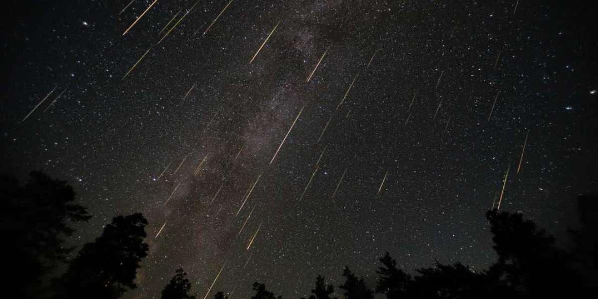 Петербуржцев ждет сильный метеоритный дождь в ночь на 18 ноября