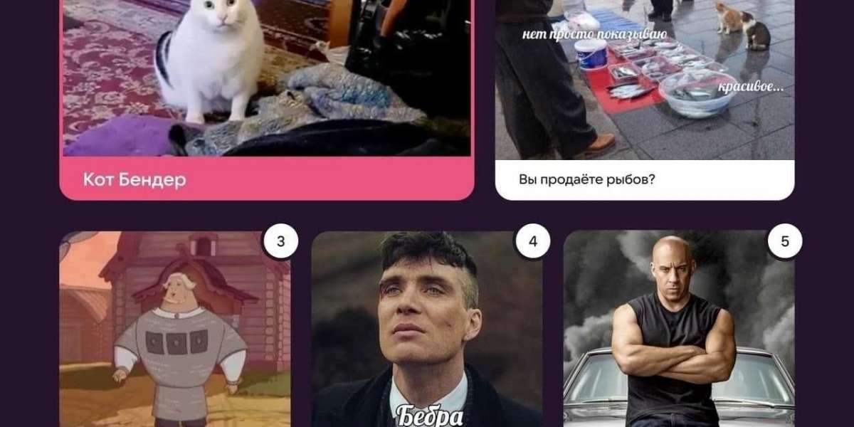 Кот Бендер стал главным мемом 2021