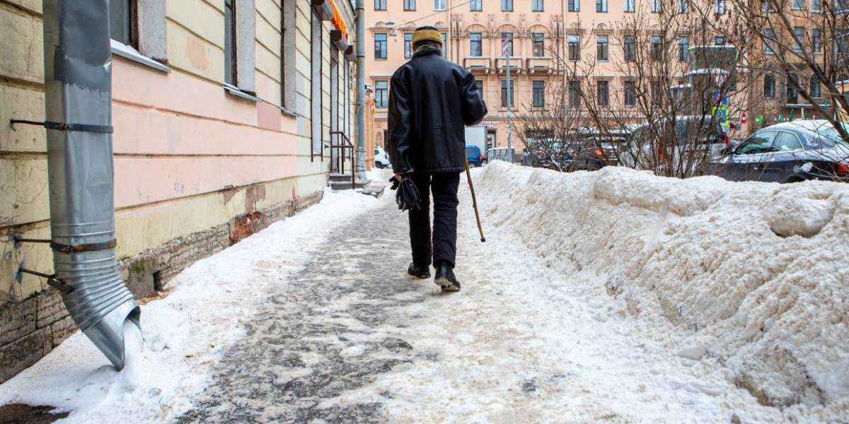Чиновник из Смольного советует не убирать снег, а терпеть его