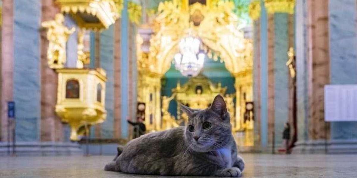 У Петропавловской крепости появилась новая хранительница