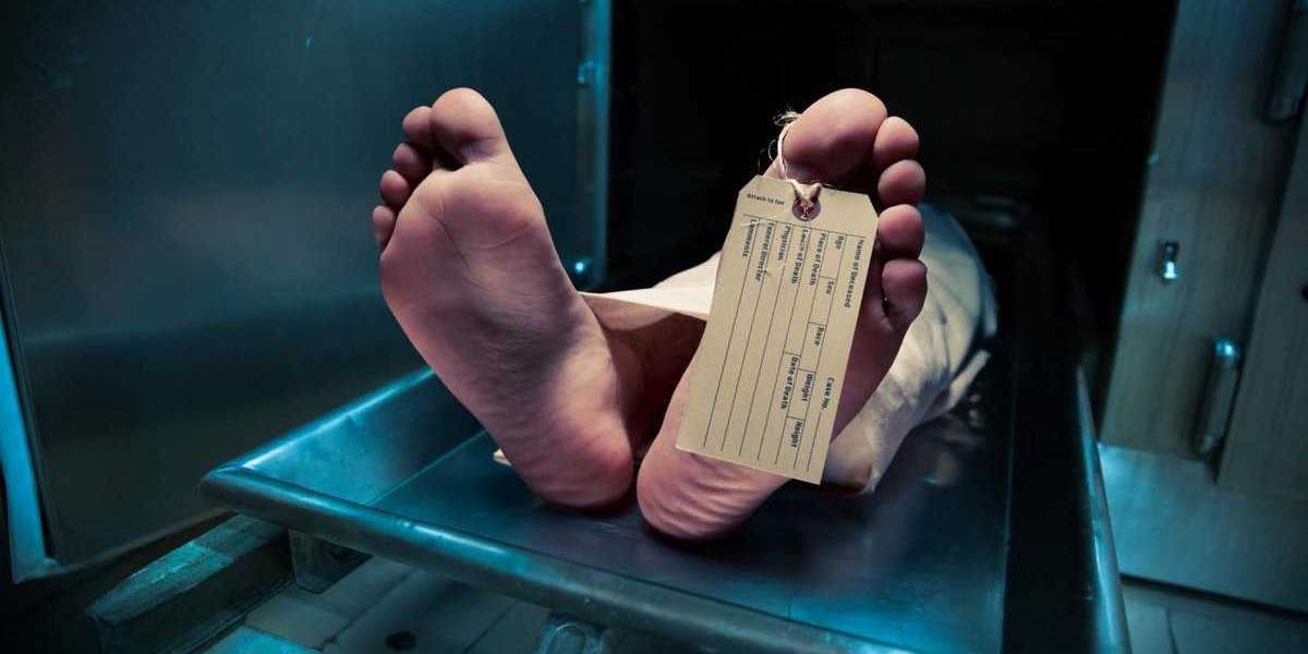 Хаотичная политика Смольного стоила жизни тысячам петербуржцев 