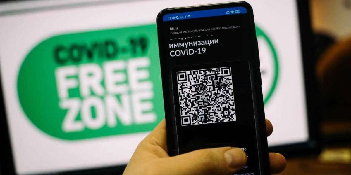 Прокуратура Петербурга ответила «QR-бунтовщикам»