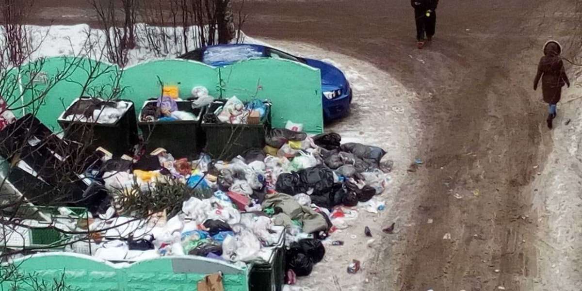 Объедки, вонь и крысы: мусорная реформа Беглова повернулась к нам ж*пой