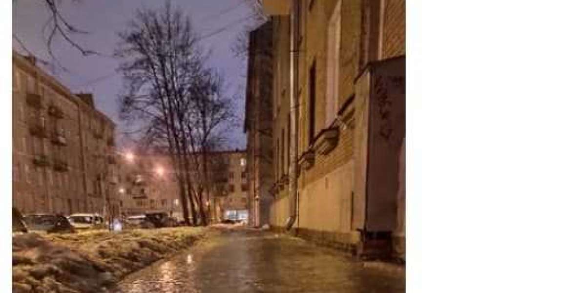 В кабинетах Смольного без перемен: ледниковый срок губернатора Беглова
