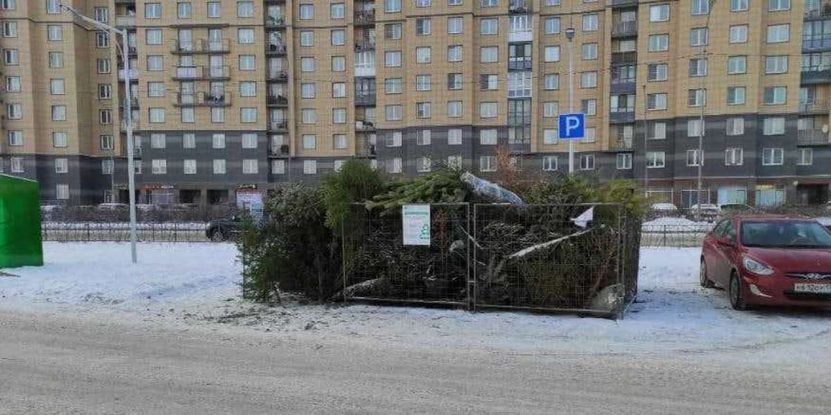 В Колпино проведут экологическую акцию «Елки в щепки»