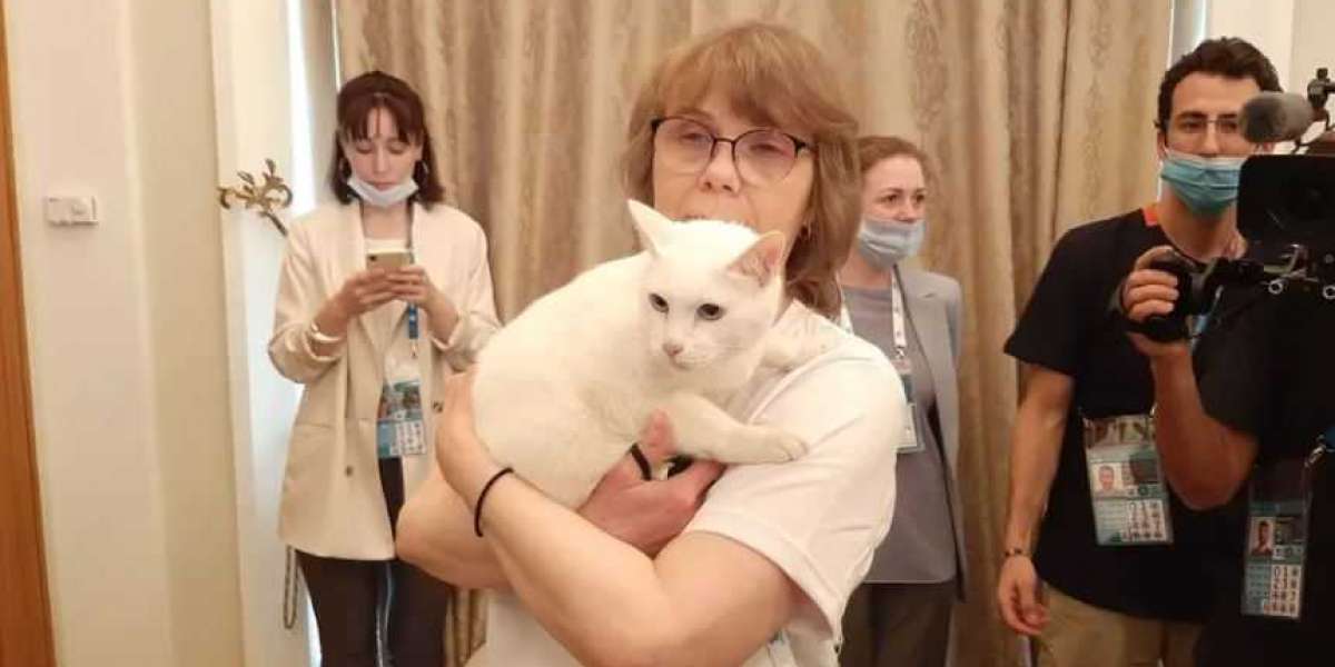Кота Ахилла могут признать нужным зверем на международном уровне