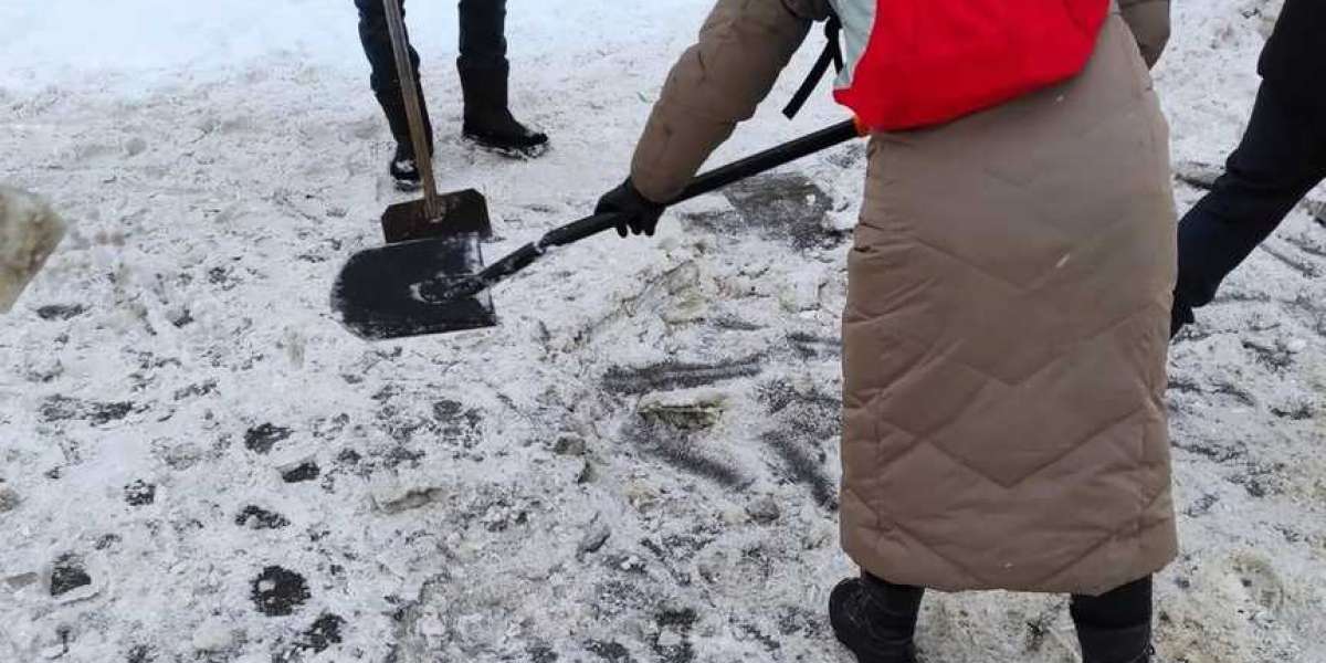 В Петербурге горожане вышли сами расчищать улицы