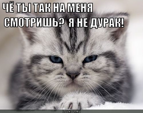 А кто не дурак?
