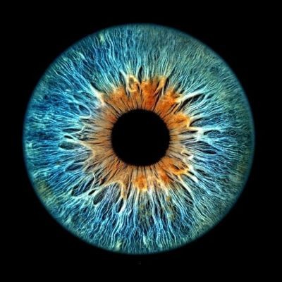 Назир Евлоев avatar