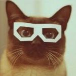 polina_plitkina avatar
