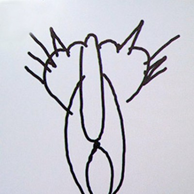 GlasNaroda avatar