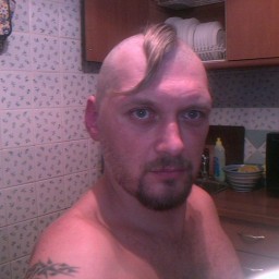 Без темы