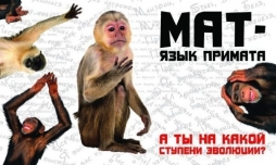 Сегодня мат - уже не формат? Бескультурье разрушает человечество!